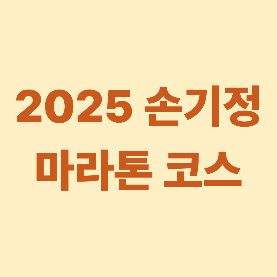 2025 손기정 마라톤 코스 총정리!