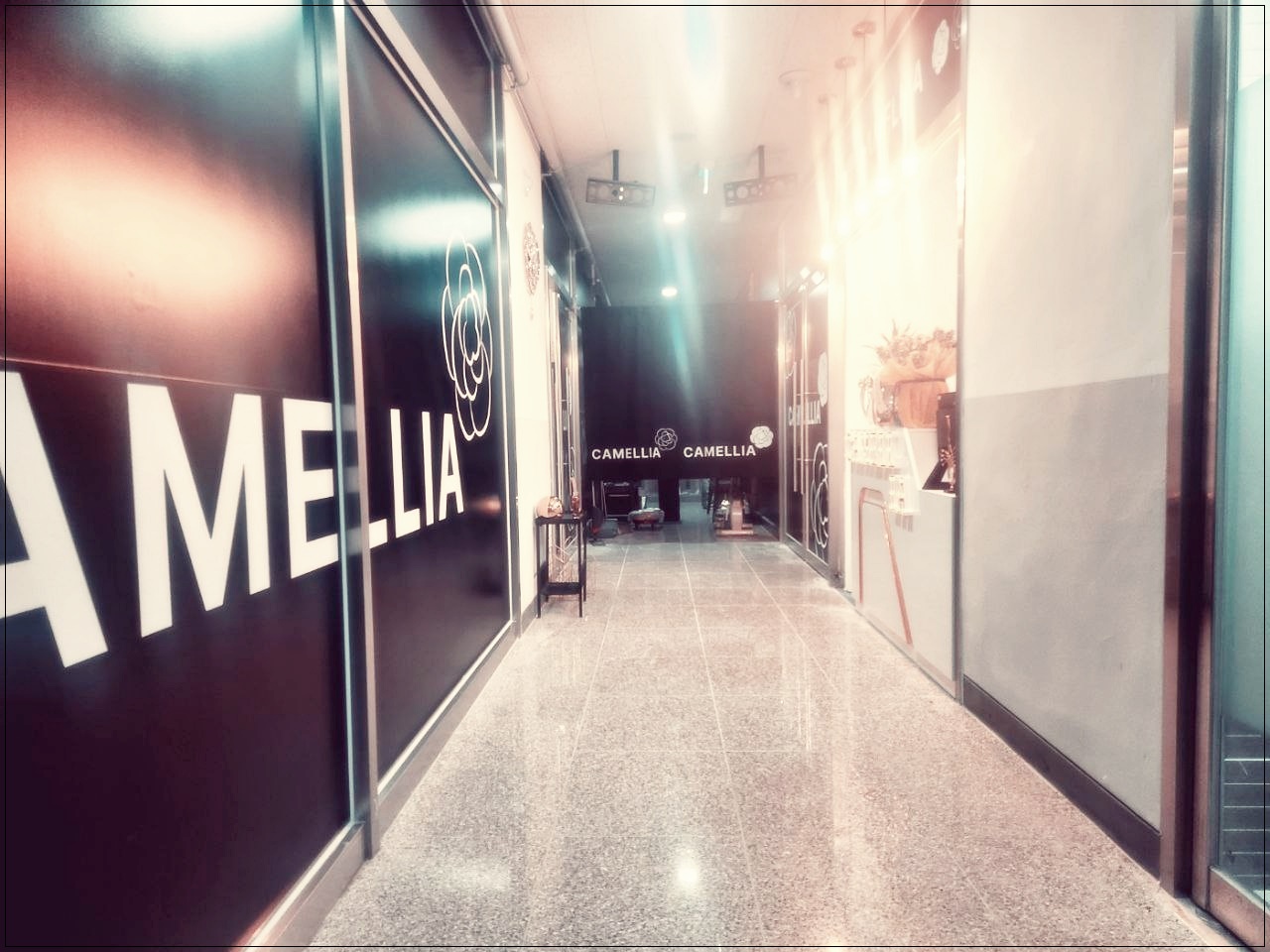 수원 호매실 까멜리아 진입 복도