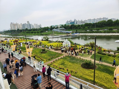 육교에서본유채꽃
