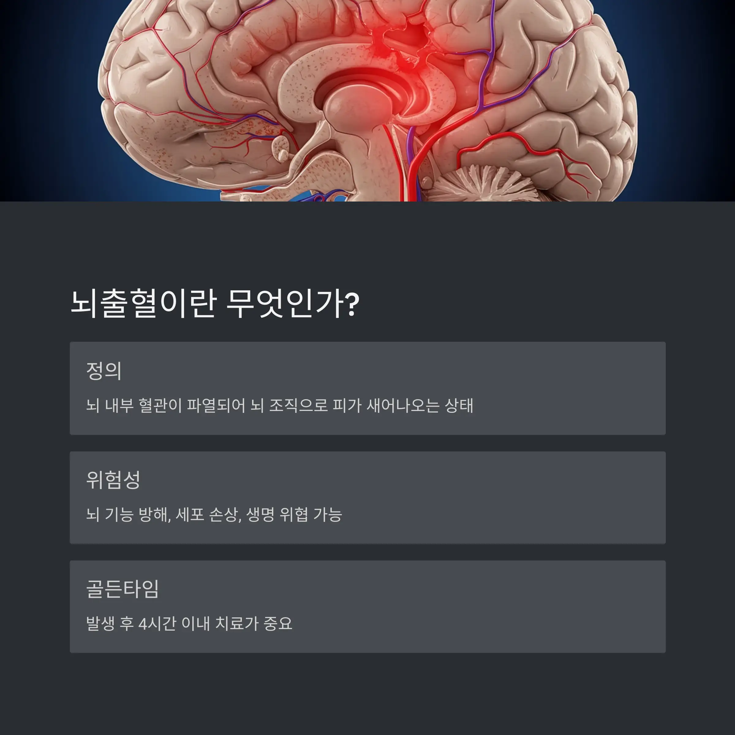 🧠 뇌출혈의 기본 이해와 위험성