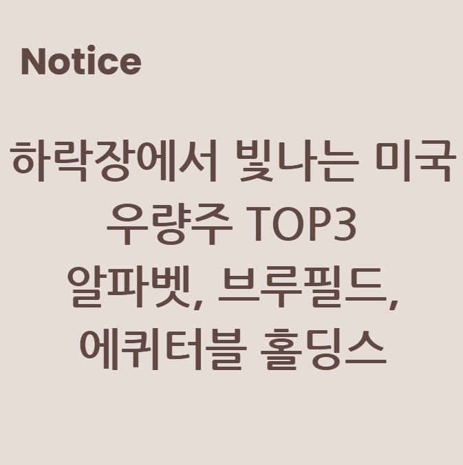 하락장에서 빛나는 미국 우량주 TOP3: 알파벳, 브루필드, 에퀴터블 홀딩스