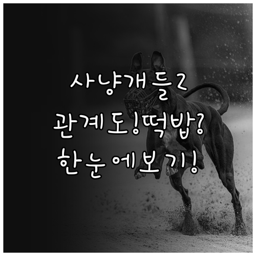 사냥개들2 관계도부터 떡밥까지 한눈에..