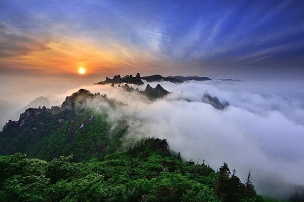 임산부를 위한 안전한 자연 치유법