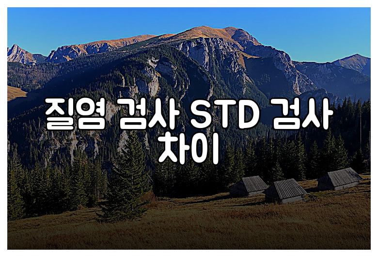 질염 검사 STD 검사 차이