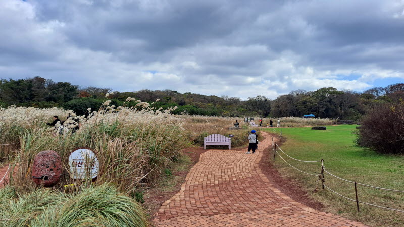 제주여행_에코랜드