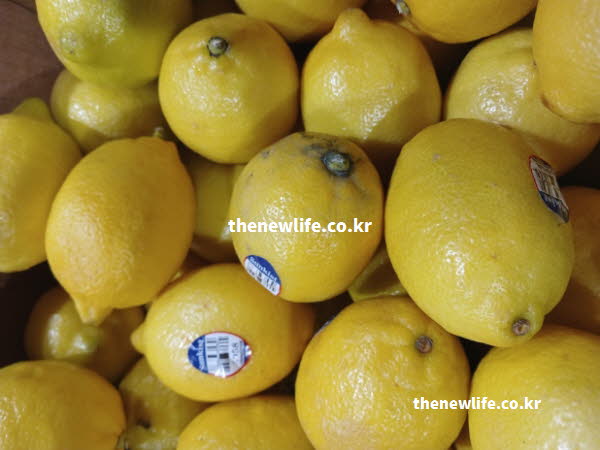 레몬수 효능 피로 해소 구연산