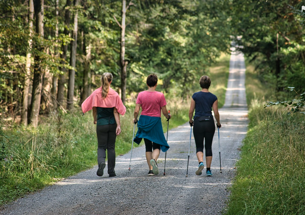 취미를 나눌 수 있는 소모임 활동 걷기