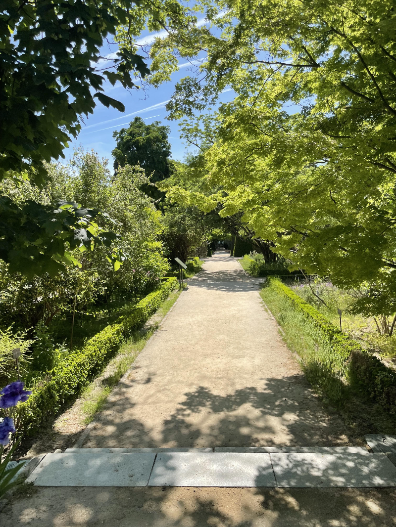 마드리드 왕립식물원 - 빌라누에바 파빌리온 동선