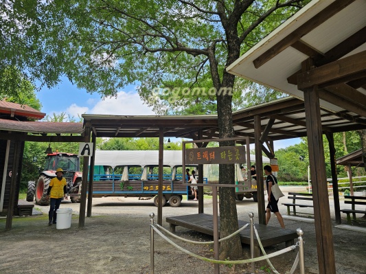 아그로랜드 트랙터기차