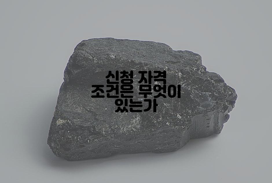 신청 자격 조건은 무엇이 있는가