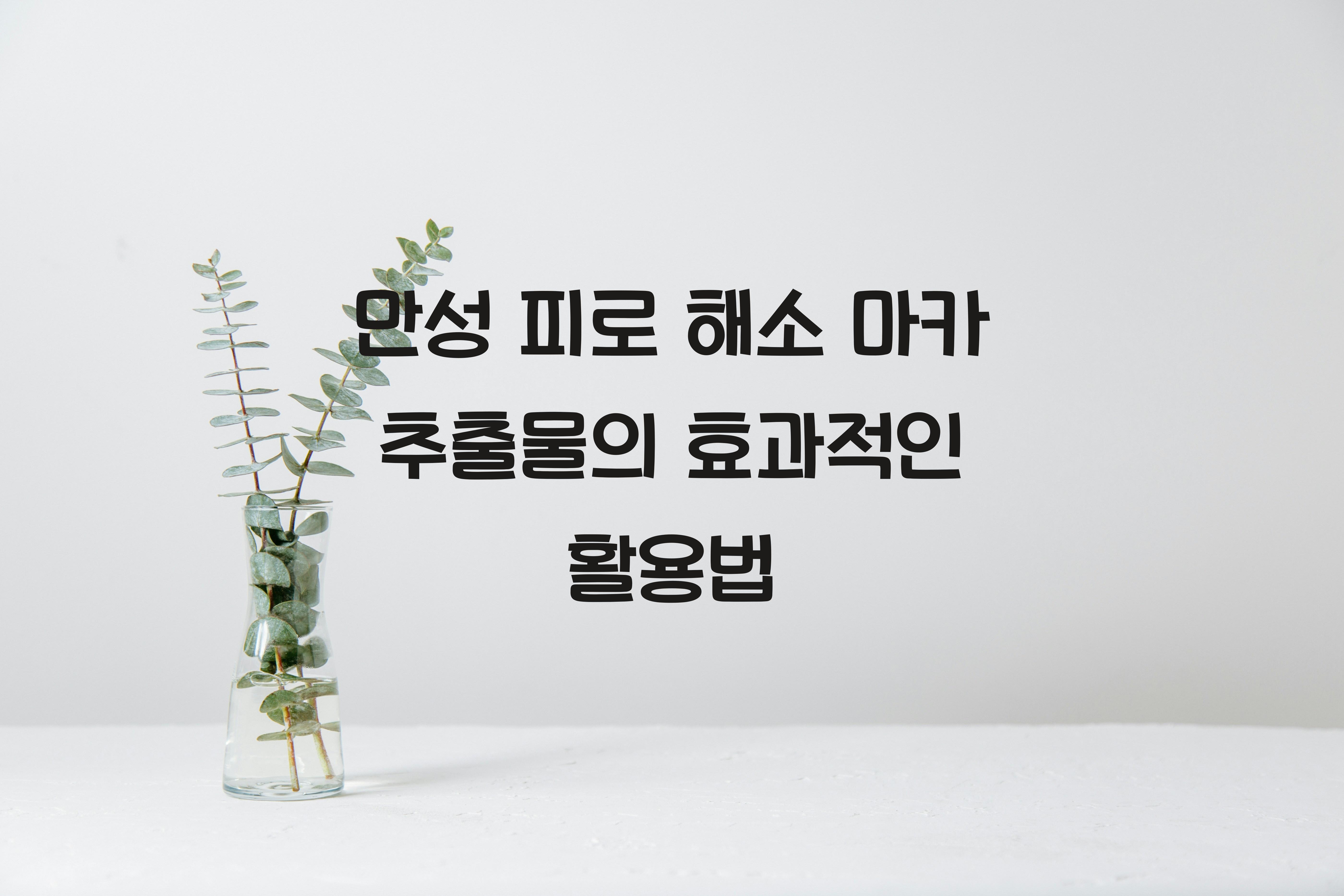 만성 피로 해소 마카 추출물