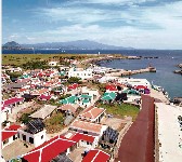 가파도 청보리 축제(2025) 배 시간표 & 주차 완벽가이드 관련 사진