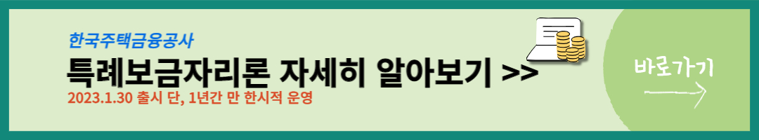 특례보금자리론 (13)