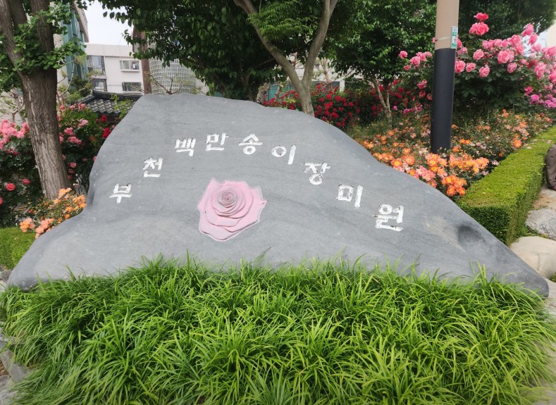 부천백만송이장미원