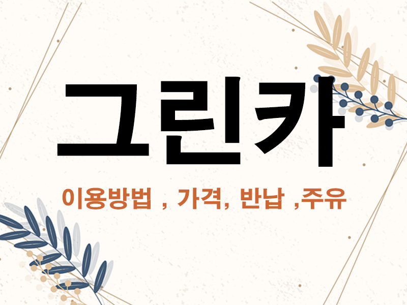 그린카-이용후기