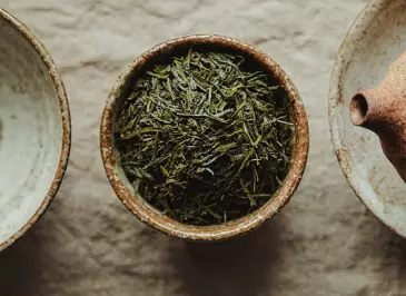 위염에-좋은-차-위염-증상-건강