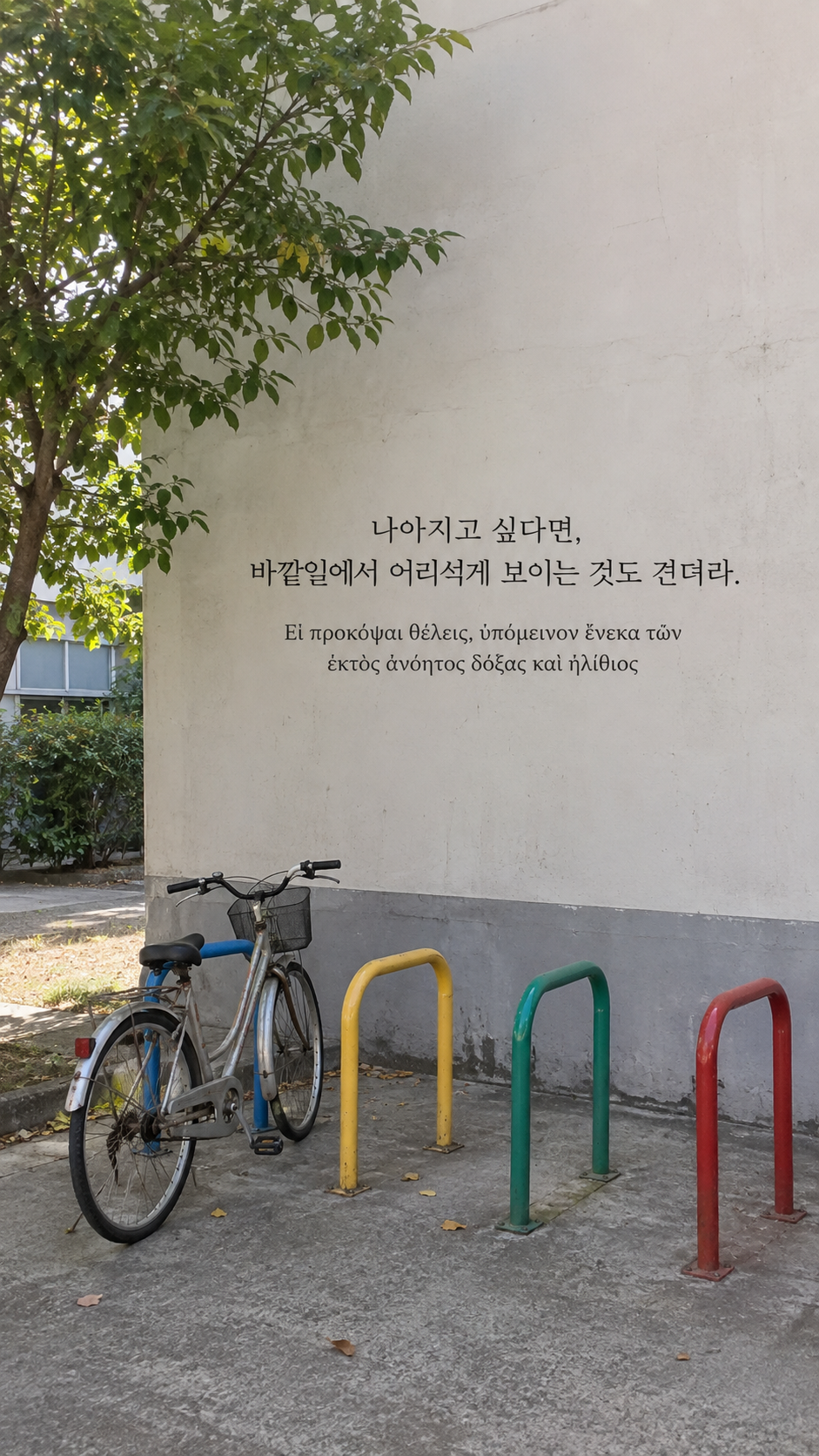 에픽테토스 명언 9 나아지고 싶다면, 바깥일에서 어리석게 보이는 것도 견뎌라. — 색색의 자전거 거치대와 소박한 자전거