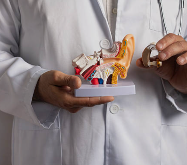 메니에르와 관련된 사진3