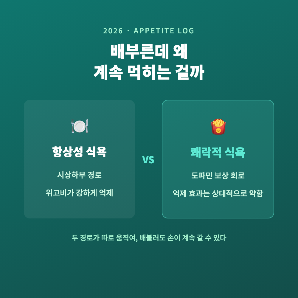 위고비 복용 중 배부른데도 식욕이 이어지는 상황을 표현한, 식탁 위 반쯤 남은 접시 정물