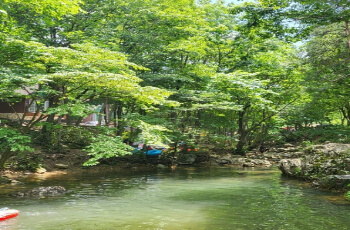 금산 삼계탕 축제 가는 길