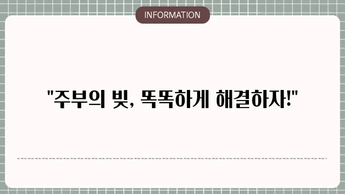 주부과다채무: 개별 계획 해소 플랜