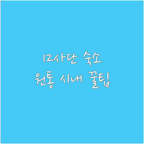 12사단 신병교육대 근처 숙소 추천 ..