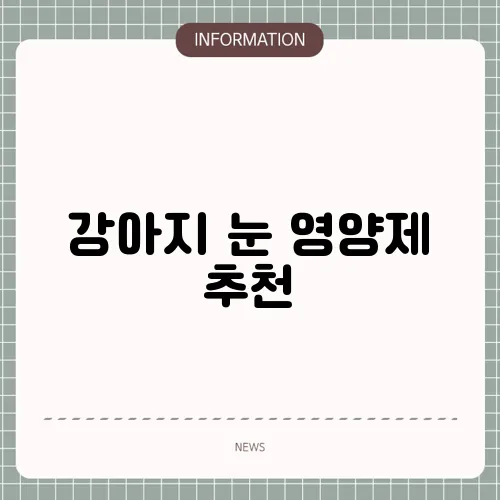 강아지 눈 영양제 추천