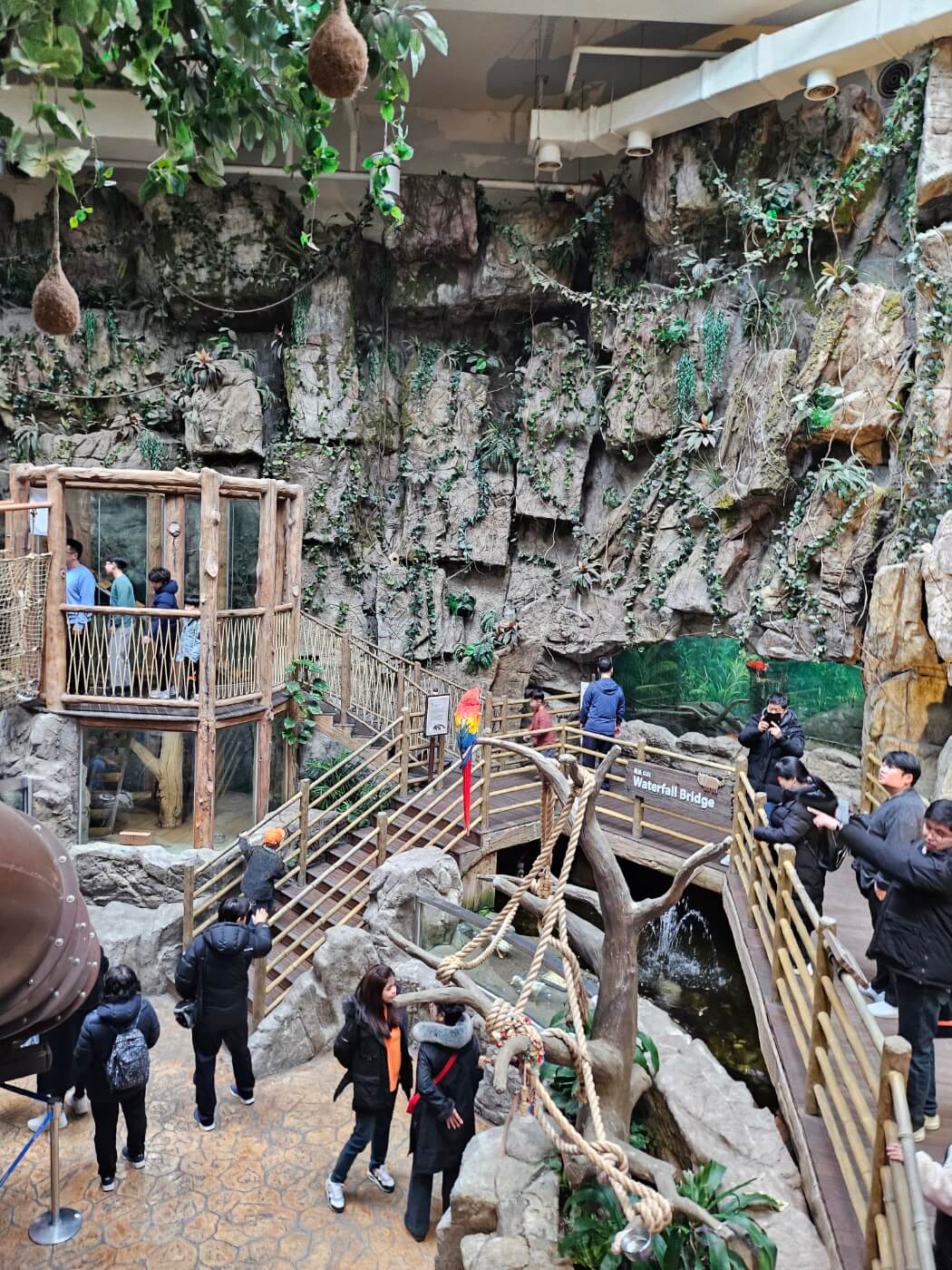 아쿠아플라넷-일산-정글체험