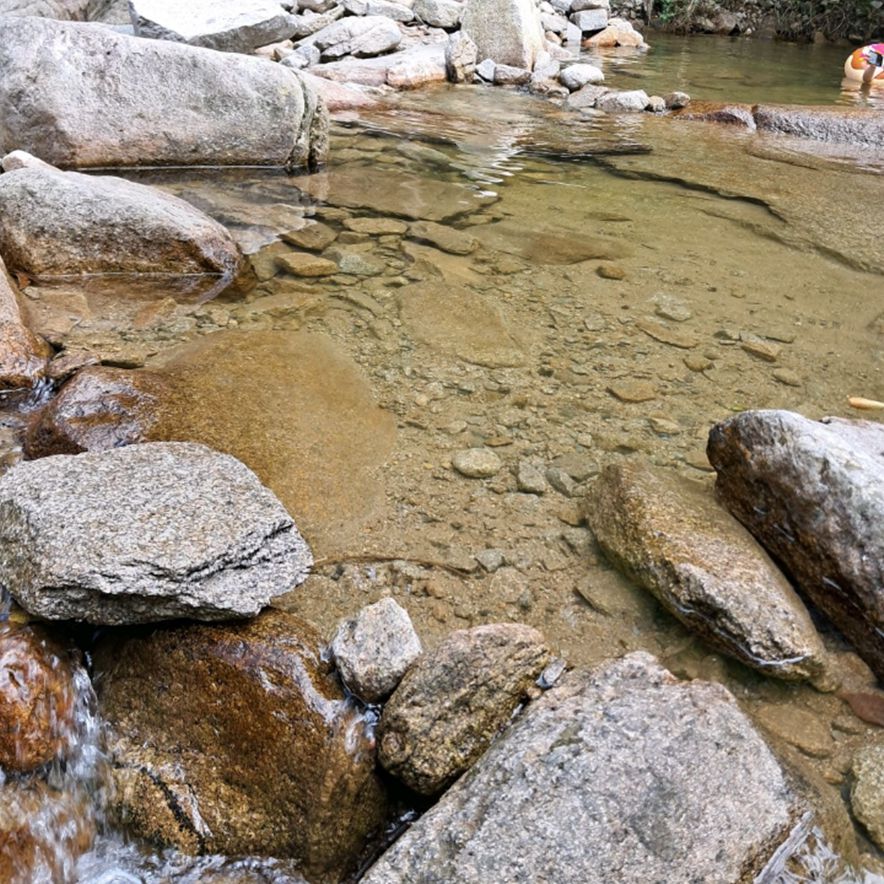 동산계곡
