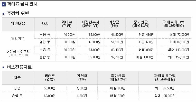 과태료 금액 안내 표 이미지