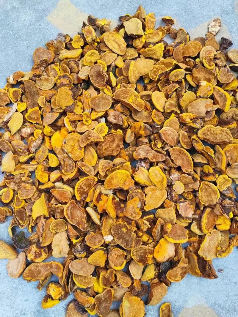 상황버섯 효능 &middot; 부작용