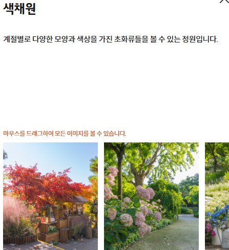 수선화 축제