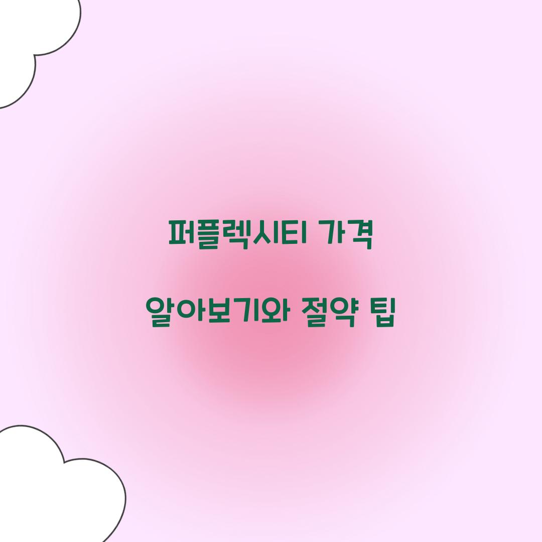 퍼플렉시티 가격
