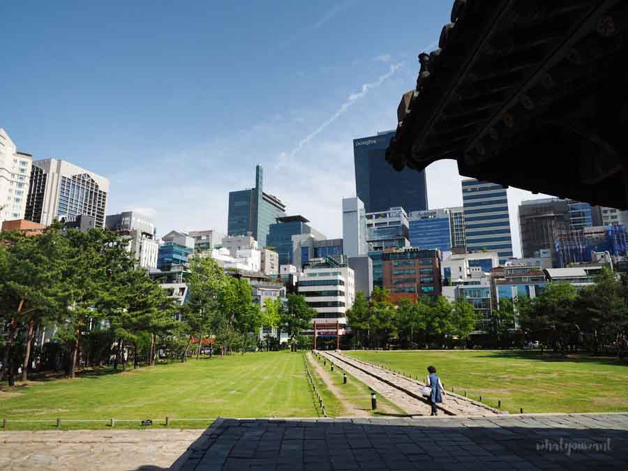 선정릉에서 바라보는 강남 스카이라인