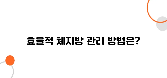 체지방 감량 지방을 효과적으로 태우는 운동과 식단