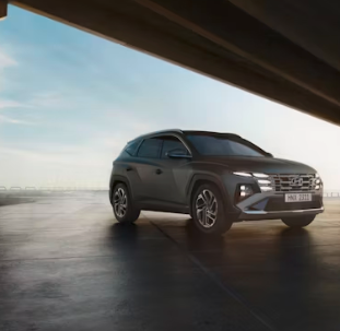 중고차 가격 시세표