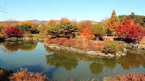 충청도 가을 단풍 명소