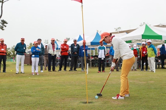 파크골프 샷 스탠스 정렬방법, 샷의 종류