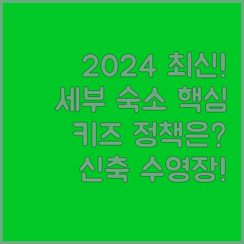 2024년 신상 세부 시티 숙소 신축..