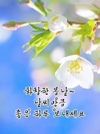 2025년 춘분 청명 봄 절기 인사말 이미지 일러스트_5