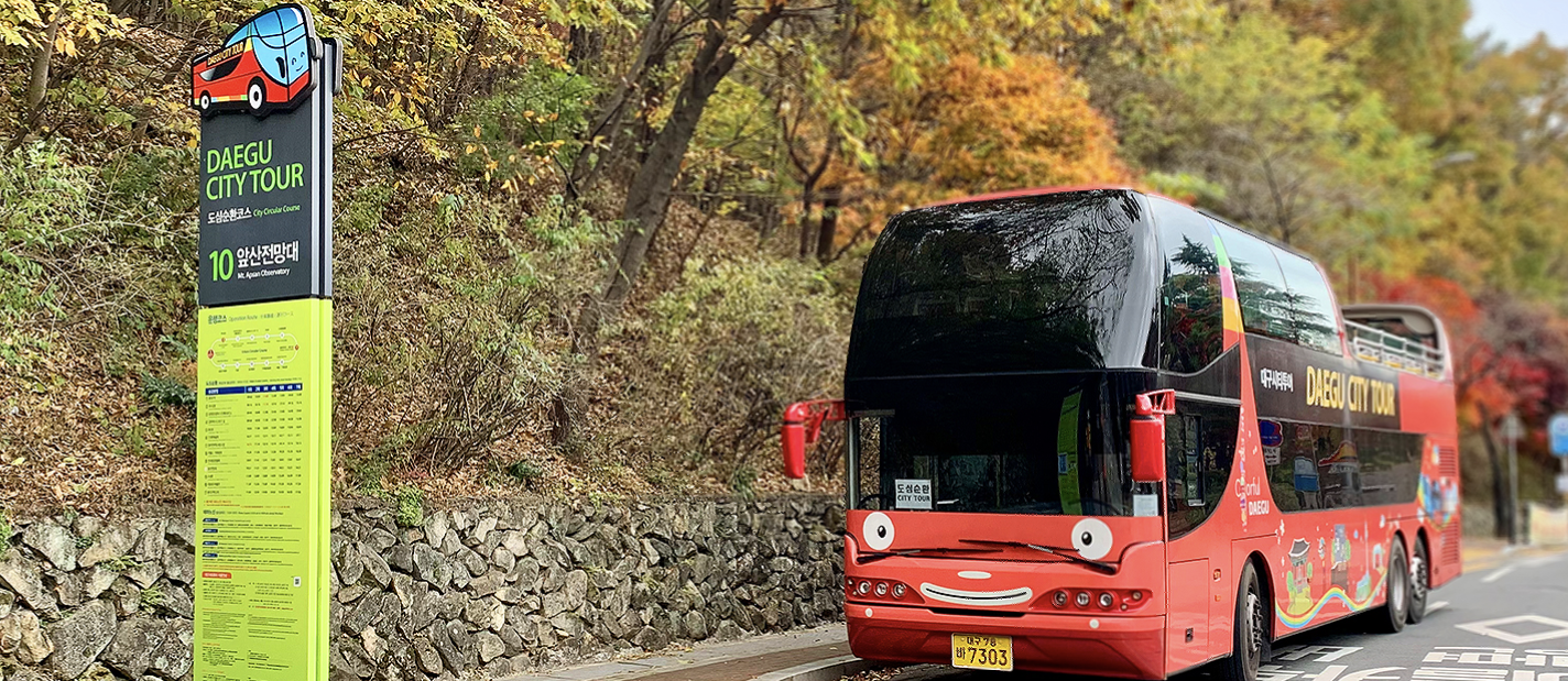 12월에 절대 놓쳐서는 안될 여행지