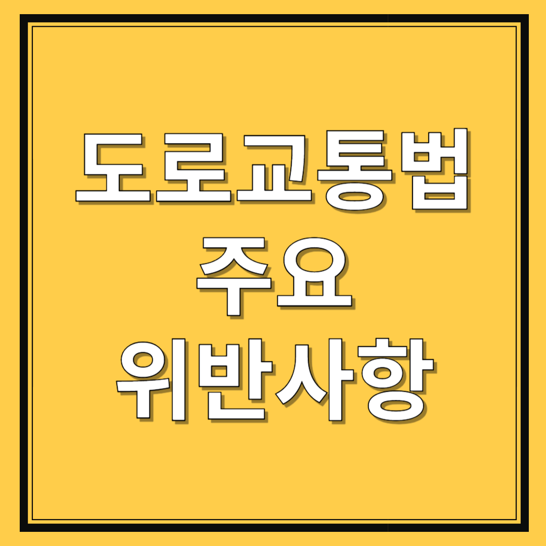 도로교통법-위반-사항