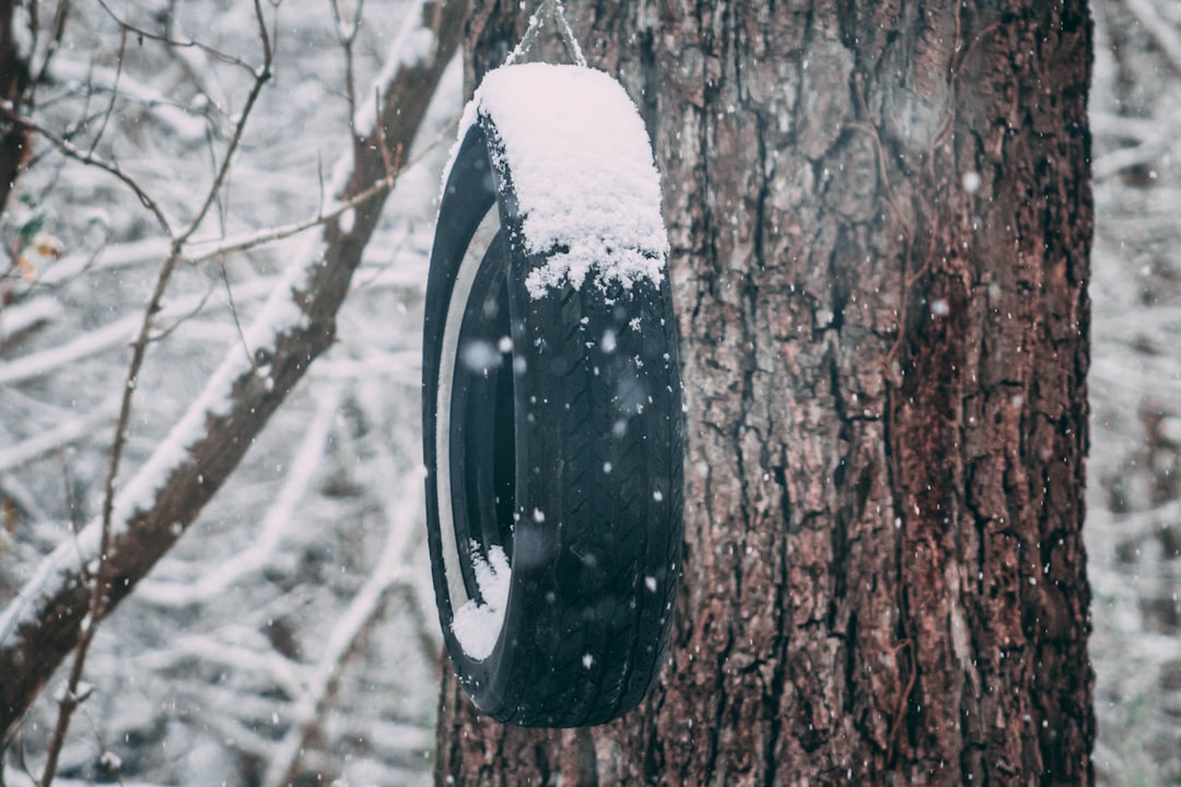 Snow tire