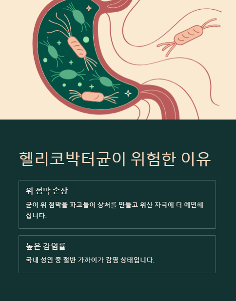 헬리코박터균이 위험한 이유