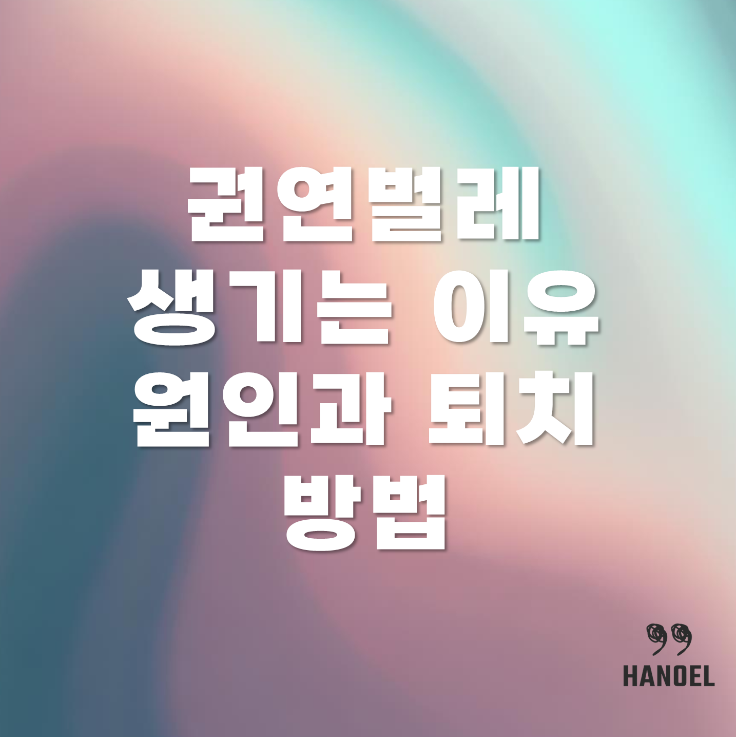 권연벌레 생기는 이유 원인과 퇴치방법