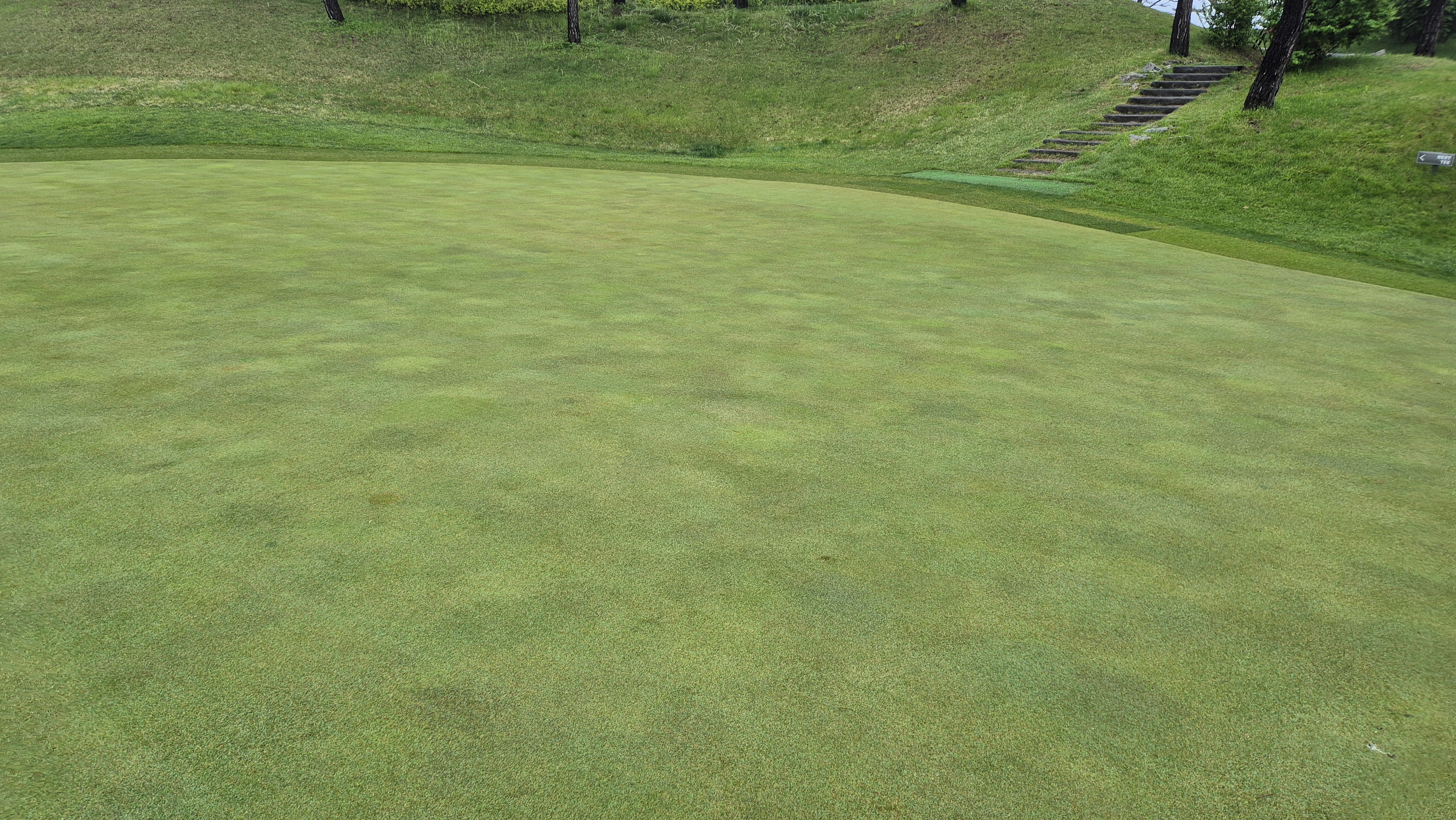 엘리시안 강촌cc 라운드 후기