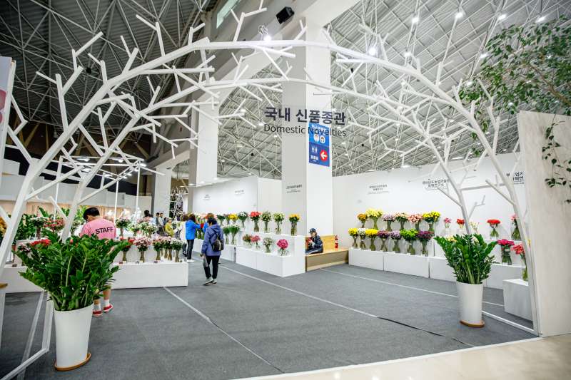 2025 고양국제꽃박람회 이미지