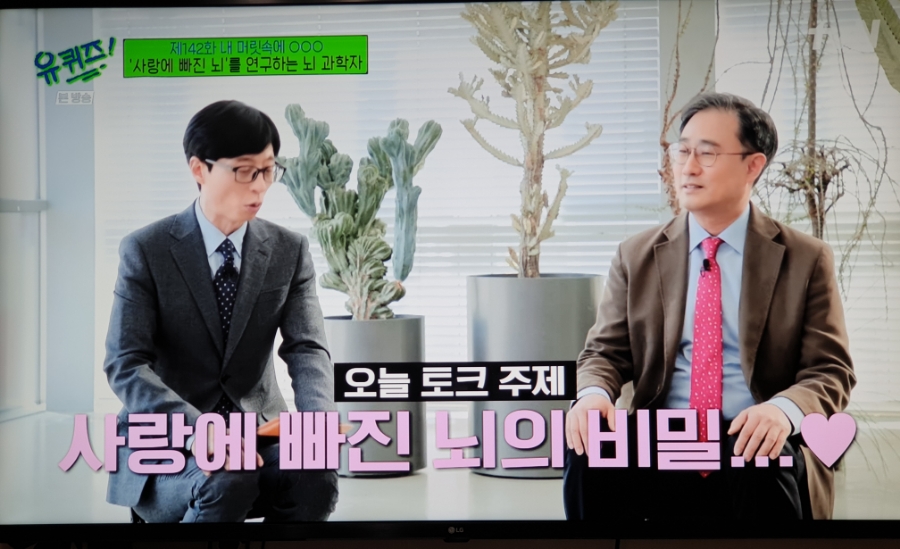 메타인지
