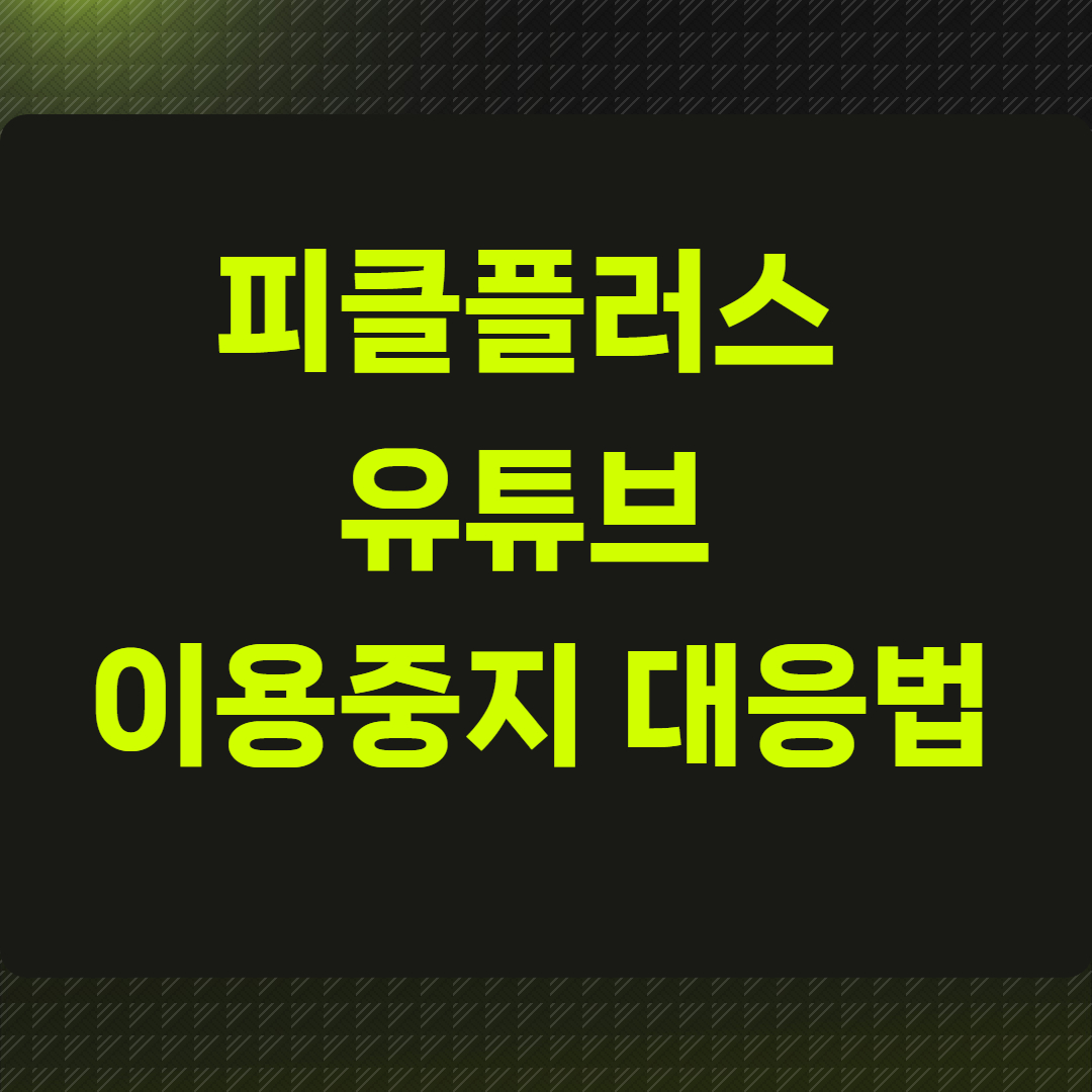 피클플러스 유튜브 이용중지 대응법