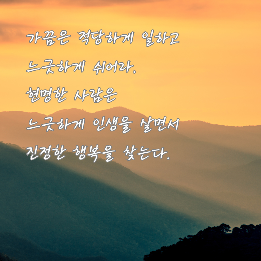 행복에 관한 짧고 좋은 글귀 명언 문구 이미지 모음